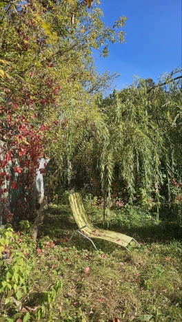 Купить земельный участок у метро Медведково в Королёве. Вариант № 13929, 6, площадь -  квм, цена 6000000 рублей