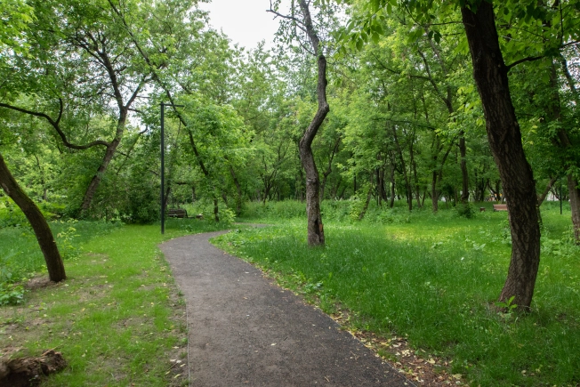 . Вариант № 10000, 12, площадь - 85.1 квм, цена 30000000 рублей