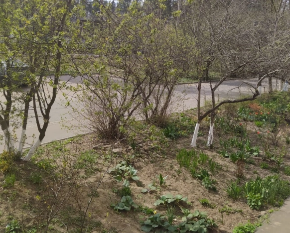 Купить двухкомнатную квартиру у метро Щелковская в Королёве. Вариант № 564463, 16, площадь -  квм, цена 8700000 рублей