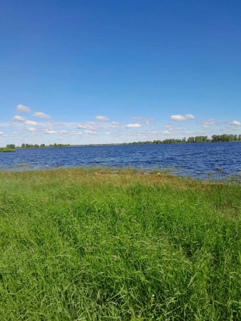 Купить земельный участок в Тобольске. Вариант № 17901, 1, площадь -  квм, цена 800000 рублей