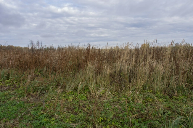 Купить земельный участок на улице Светлый переулок в Ленинградской области. Вариант № 28141, 2, площадь -  квм, цена 2300000 рублей