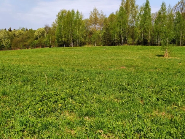 Купить земельный участок в Краснозаводске. Вариант № 972, 4, площадь -  квм, цена 1100000 рублей