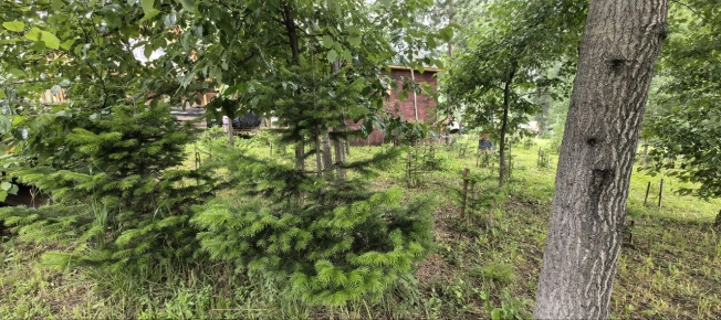 Купить земельный участок в Искитиме. Вариант № 60132, 1, площадь -  квм, цена 3547000 рублей