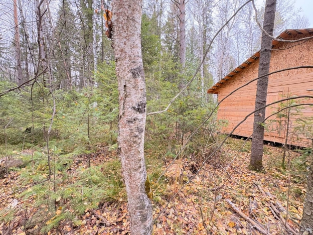 Купить земельный участок в Тобольске. Вариант № 7690351, 5, площадь -  квм, цена 5000000 рублей