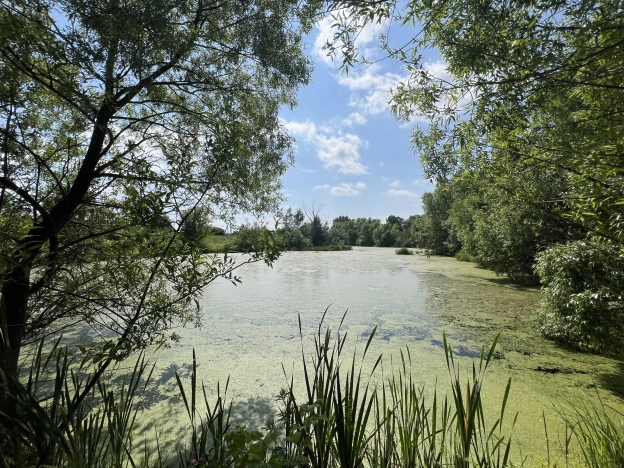 Купить дом в Коломне. Вариант № 52754, 12, площадь -  квм, цена 1950000 рублей