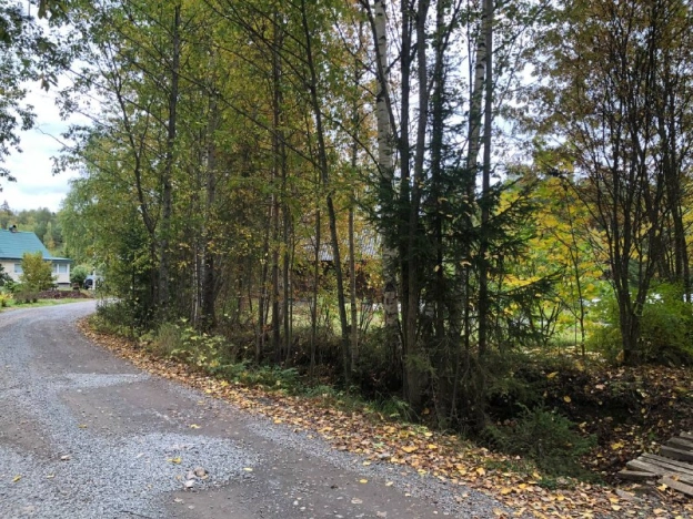 Купить земельный участок в Петрозаводске. Вариант № 6680351, 0, площадь -  квм, цена 600000 рублей