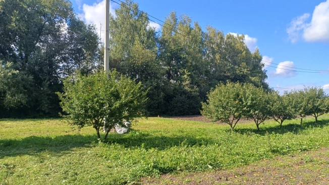 Купить земельный участок в Липецкой области. Вариант № 4885883, 11, площадь -  квм, цена 650000 рублей