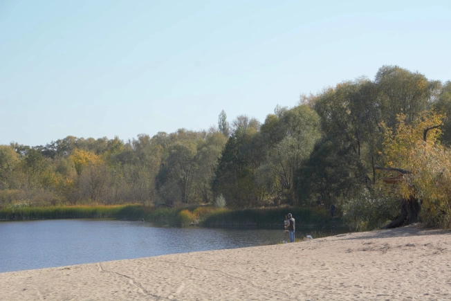 Купить квартиру в Воронеже. Вариант № 10172894, 23, площадь - квм, цена 3950000 рублей