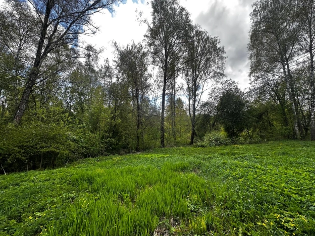 Купить земельный участок в Раменском. Вариант № 47402, 17, площадь -  квм, цена 129900000 рублей