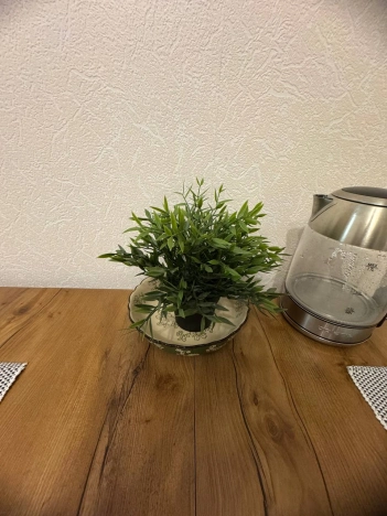 Снять квартиру в Воронеже. Вариант № 6860278, 27, площадь - квм, цена 23000 рублей