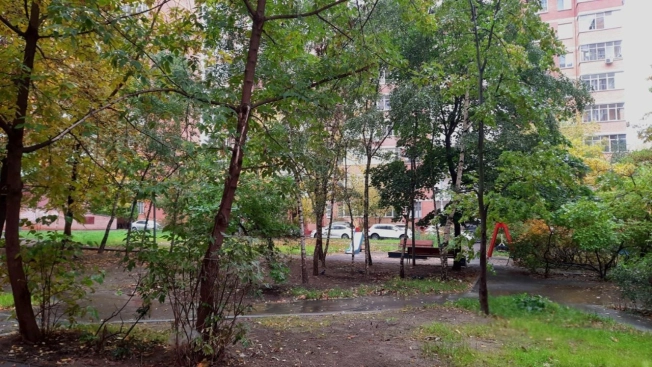 Купить квартиру в Москве. Вариант № 8984861, 16, площадь - квм, цена 16800000 рублей