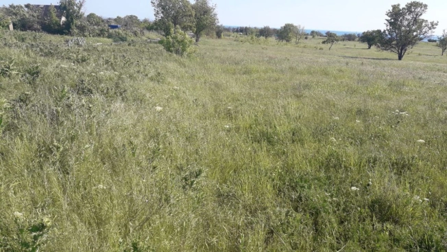 Купить земельный участок в Керчи. Вариант № 5806, 4, площадь -  квм, цена 700000 рублей