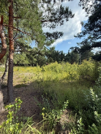 Купить земельный участок в Владимире. Вариант № 5288388, 23, площадь -  квм, цена 3100000 рублей