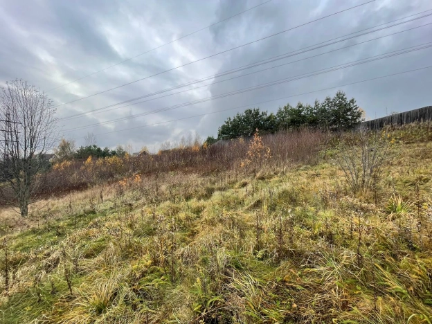 Купить земельный участок в Санкт-Петербурге. Вариант № 8745979, 1, площадь -  квм, цена 15890000 рублей