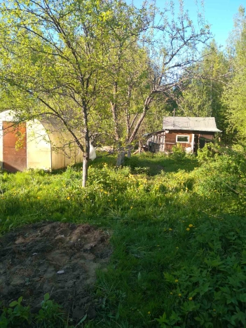 Купить дачу в Владимирской области. Вариант № 8912, 12, площадь -  квм, цена 1000000 рублей