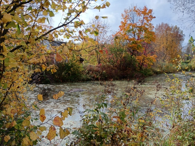 Купить дом в Гороховеце. Вариант № 5752492, 4, площадь -  квм, цена 247000 рублей