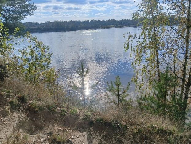 Купить земельный участок в Ленинградской области. Вариант № 6964732, 13, площадь -  квм, цена 2508800 рублей