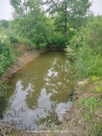 Купить земельный участок в Арсеньеве. Вариант № 54243, 0, площадь -  квм, цена 500000 рублей