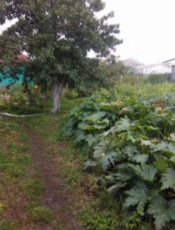 Купить дом на улице Садовая в Алтайском крае. Вариант № 47811, 5, площадь -  квм, цена 4600000 рублей