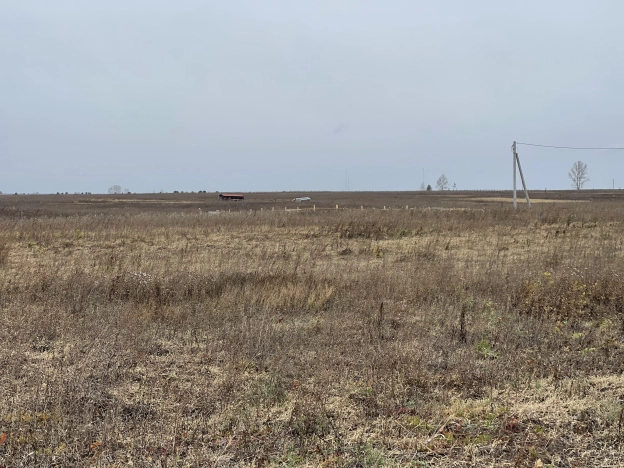 Купить земельный участок на улице Лесная в Тюменской области. Вариант № 3680, 11, площадь -  квм, цена 450000 рублей