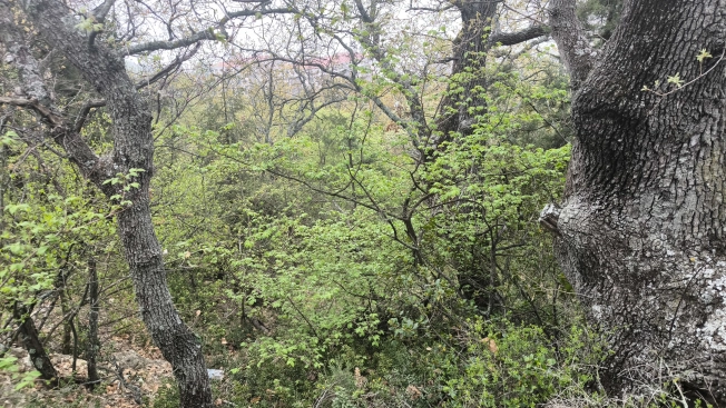 Купить земельный участок в Республике Крым. Вариант № 37787, 7, площадь -  квм, цена 2000000 рублей