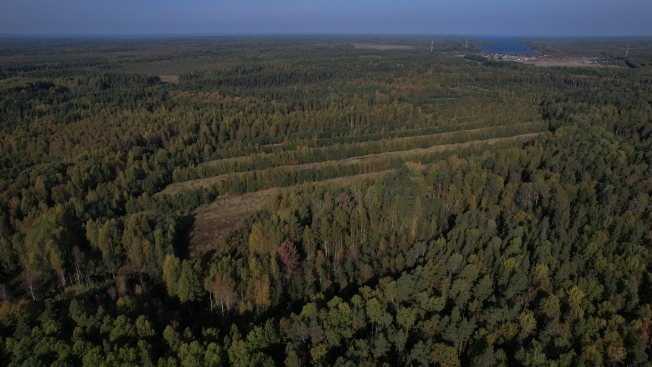 Купить земельный участок в Республике Карелия. Вариант № 13851, 28, площадь -  квм, цена 6000000 рублей