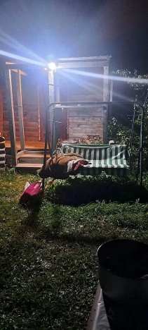 Купить дом на улице Совхозная в Тюменской области. Вариант № 8447472, 6, площадь -  квм, цена 800000 рублей