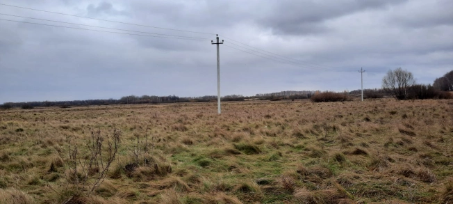 Купить земельный участок в Рязанской области. Вариант № 10609018, 0, площадь - квм, цена 570000 рублей