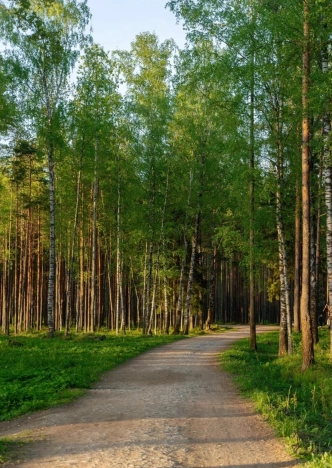 Купить земельный участок в Санкт-Петербурге. Вариант № 9512753, 13, площадь - квм, цена 4239356 рублей
