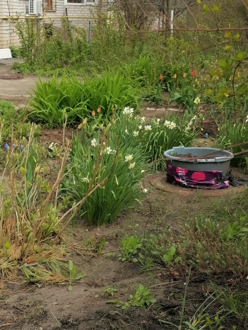 Снять квартиру в Воронеже. Вариант № 36003, 39, площадь - квм, цена 18000 рублей