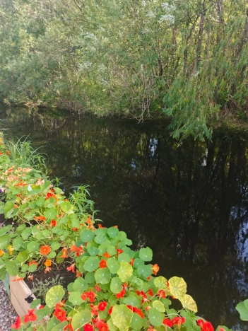 Купить дом у метро Речной вокзал в Новосибирске. Вариант № 4133968, 3, площадь -  квм, цена 4800000 рублей