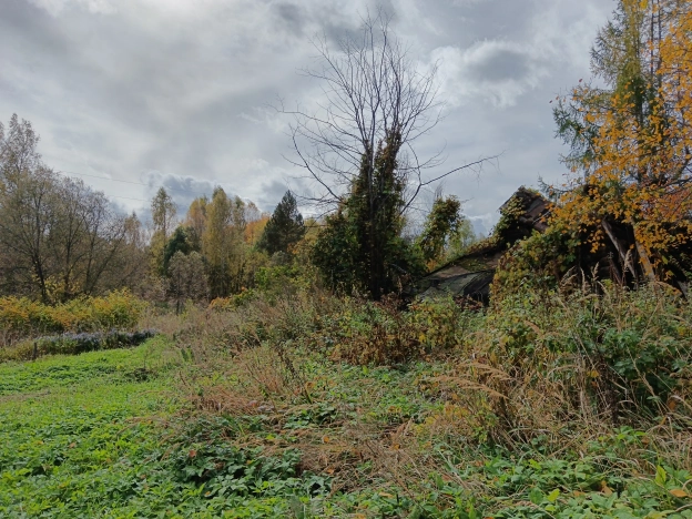 Купить дом в Гороховеце. Вариант № 5752492, 6, площадь -  квм, цена 247000 рублей