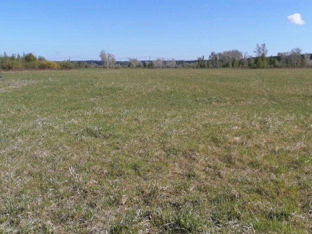 Купить земельный участок в Новосибирске. Вариант № 1241624, 8, площадь -  квм, цена 520000 рублей