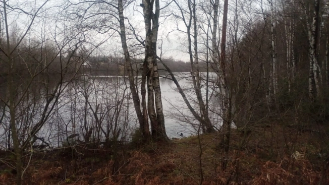 Купить земельный участок на улице Гоголя в Всеволожске. Вариант № 17441, 1, площадь -  квм, цена 81000000 рублей