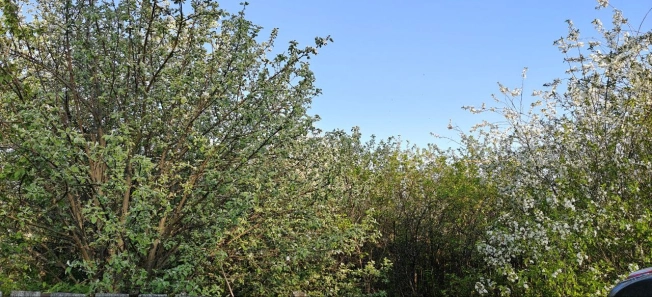 Купить дом на улице Лесная в Республике Марий эл. Вариант № 53706, 24, площадь -  квм, цена 3500000 рублей