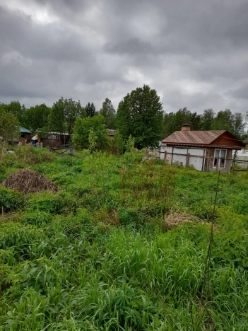 Купить земельный участок в Новосибирске. Вариант № 48159, 5, площадь -  квм, цена 520000 рублей