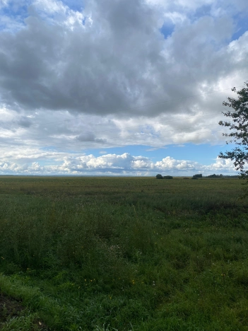 Купить земельный участок в Благовещенске. Вариант № 5440595, 0, площадь -  квм, цена 32000000 рублей