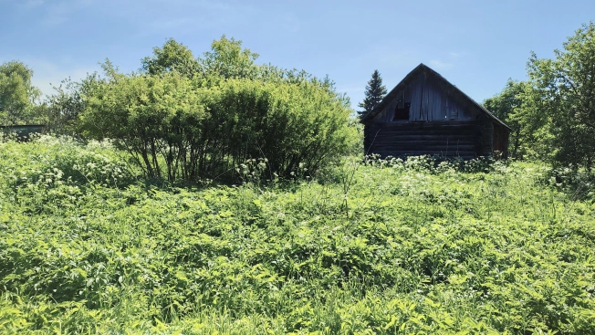 Купить земельный участок в Тульской области. Вариант № 2502, 1, площадь -  квм, цена 560000 рублей