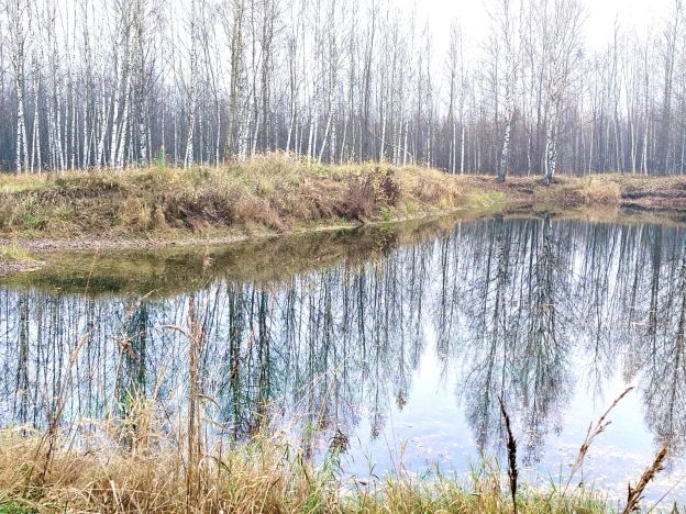 Купить дачу в Коврове. Вариант № 7907664, 19, площадь -  квм, цена 350000 рублей