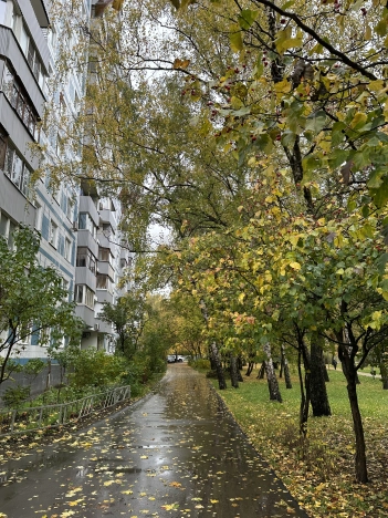 Купить квартиру в Москве. Вариант № 7655106, 13, площадь - квм, цена 16000000 рублей