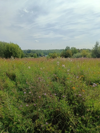 Купить земельный участок на улице Полянка в Владимире. Вариант № 1334379, 0, площадь -  квм, цена 350000 рублей