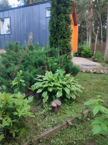 Купить дачу в Москве. Вариант № 7645049, 26, площадь -  квм, цена 4200000 рублей