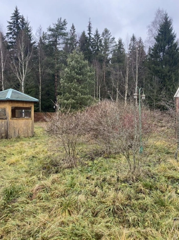 Купить дом в Санкт-Петербурге. Вариант № 9178066, 35, площадь -  квм, цена 10000000 рублей