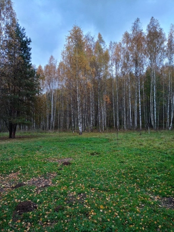 Купить земельный участок в Владимире. Вариант № 7593449, 8, площадь -  квм, цена 1200000 рублей