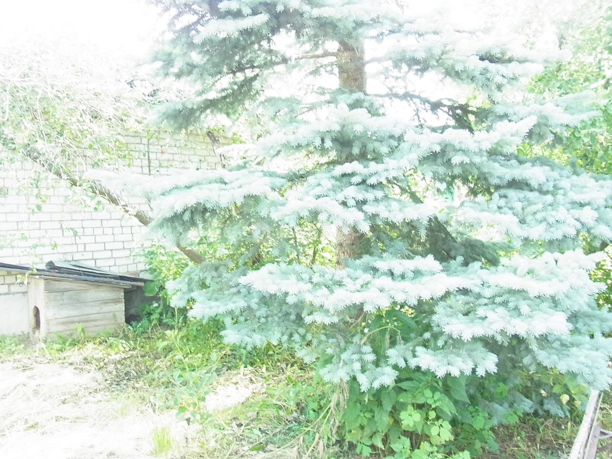 Photo https://36000382-a1c2-4a8a-a109-3fc3bfc73cf7.selcdn.net/App/Entity/ObjectRealty/ObjectRealty/GH/44f919b1-8b83-43d7-ada9-dbea81ae815a/XfA3xNT5JXzQQUULakTKYLUqqF8FJTX1G3kJmmTX.jpg.compressed.webp