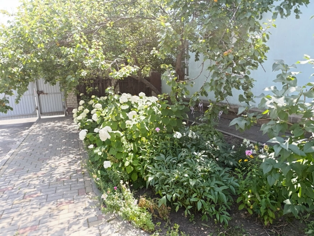 Купить двухкомнатную квартиру в Микрорайоне Юго-Восточный в Белгороде. Вариант № 49243, 18, площадь -  квм, цена 3490000 рублей