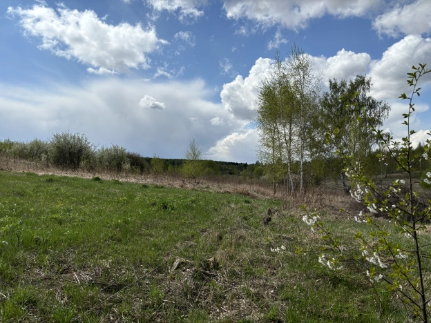 Купить земельный участок в Тульской области. Вариант № 28122, 0, площадь -  квм, цена 240000 рублей