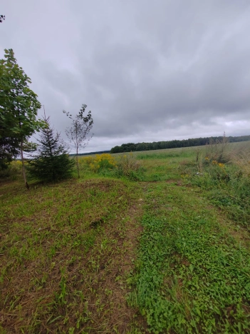 Купить земельный участок в Владимире. Вариант № 7220776, 1, площадь -  квм, цена 580000 рублей