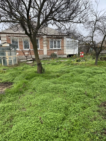 Купить дом в Краснодарском крае. Вариант № 10205930, 2, площадь -  квм, цена 4500000 рублей