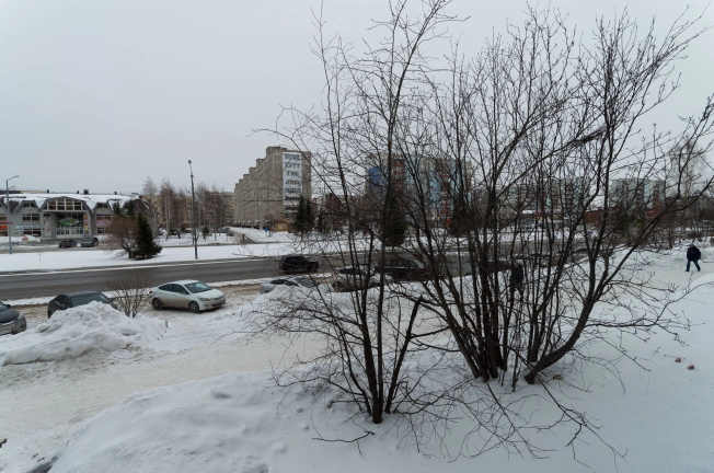 . Вариант № 1242229, 17, площадь - 54 квм, цена 45000.0000 рублей